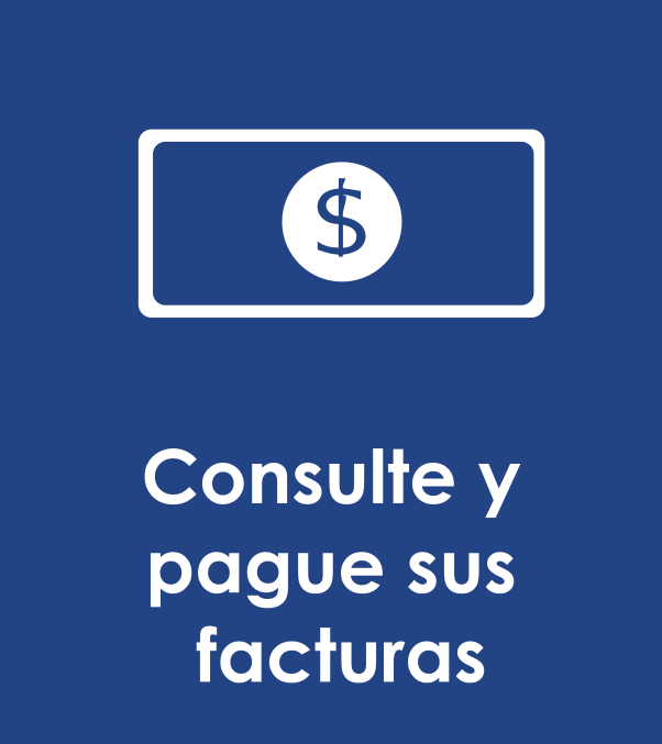 Consulte y pague sus facturas