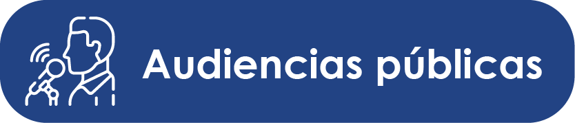 Audiencias públicas