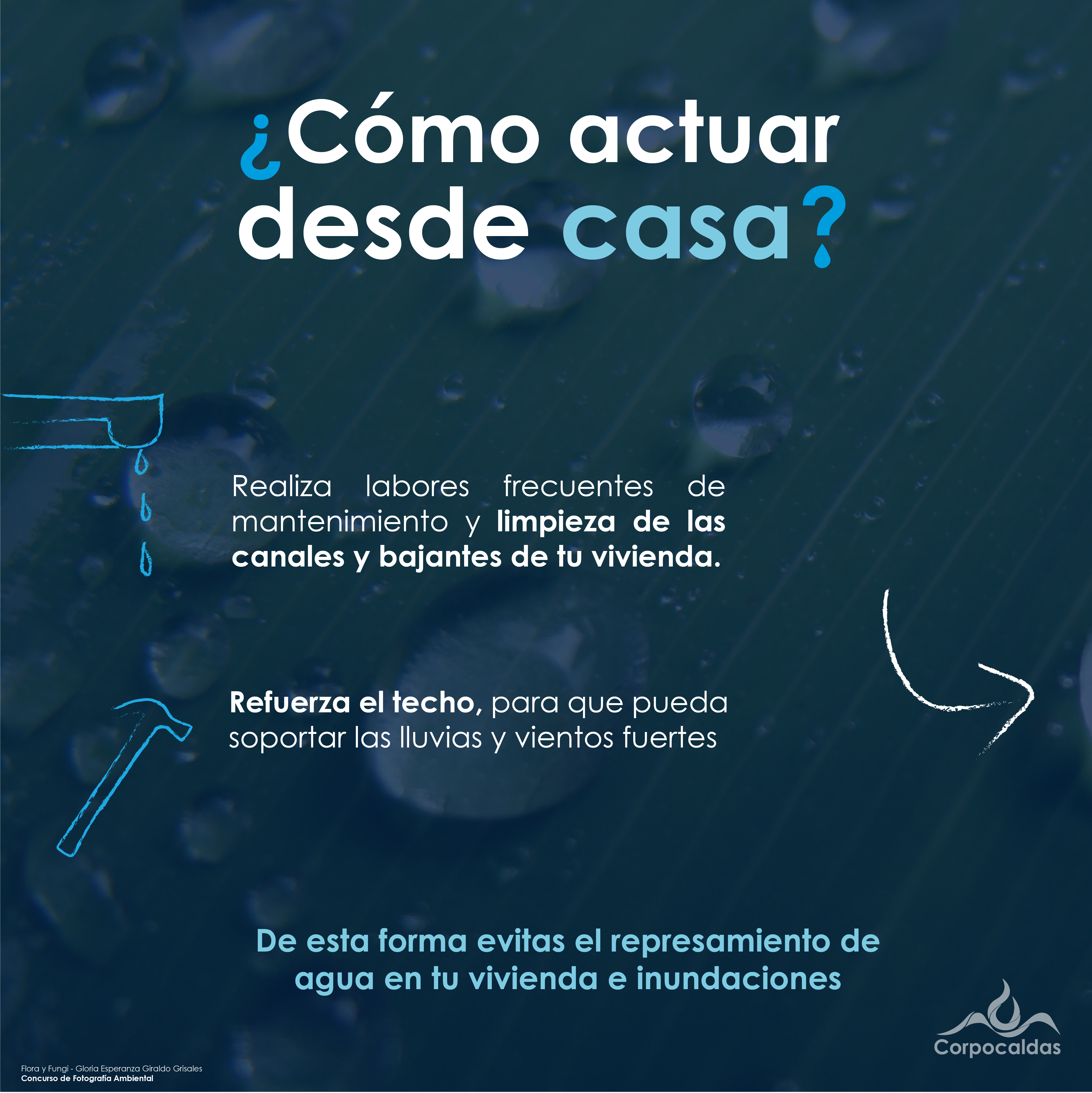 Cómo actuar desde casa