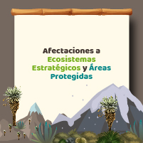 Afectaciones a Ecosistemas Estratégicos y Áreas Protegidas