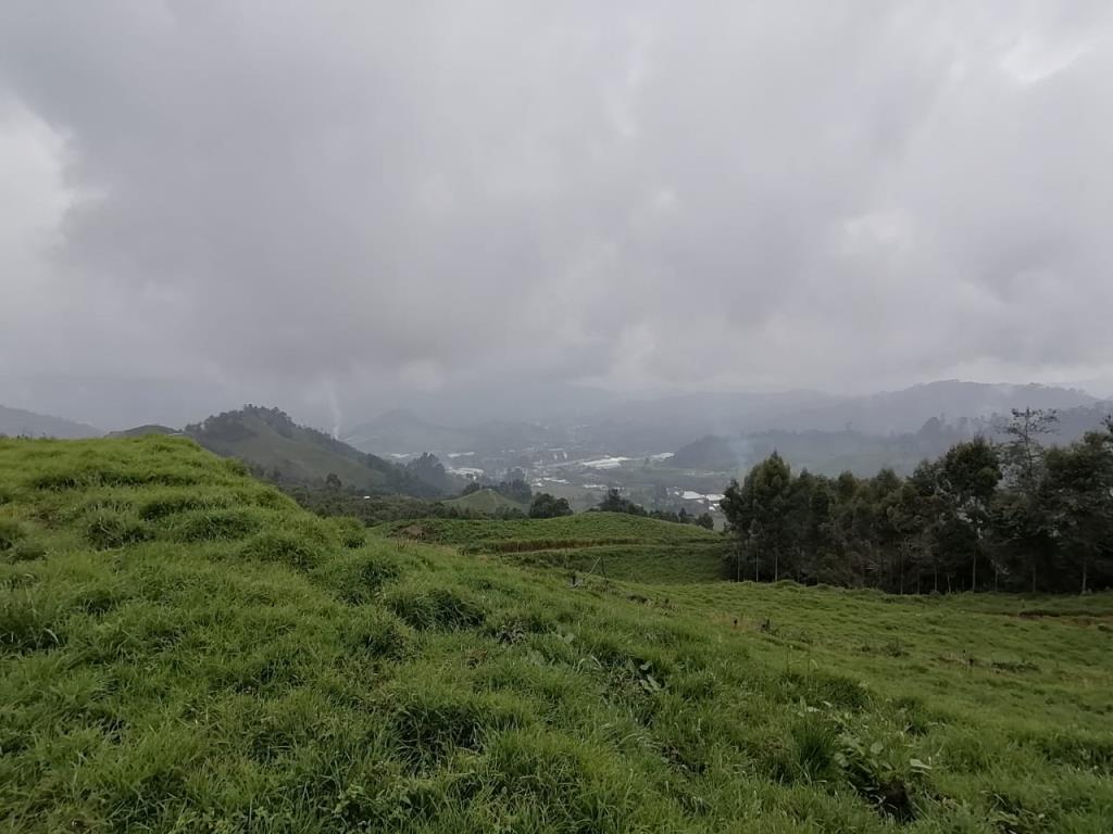 Finca ganadera en Manizales, busca registrar sus hectáreas como Reserva Natural de la Sociedad Civil