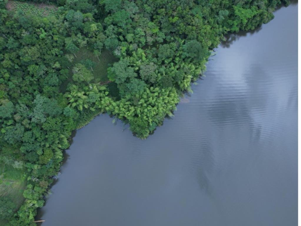 Corpocaldas mantiene medida de cierre de la Laguna San Diego tras confirmarse la presencia del Virus de la tilapia